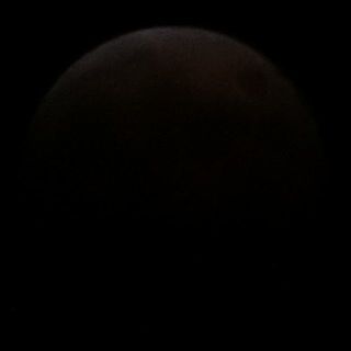 lunar_eclipse_1410081931.jpg